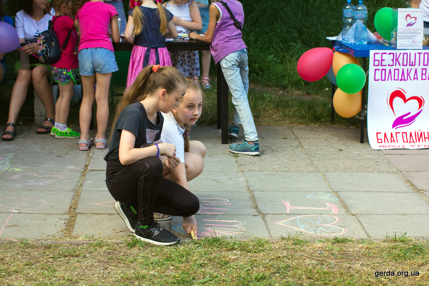DZD2019-64