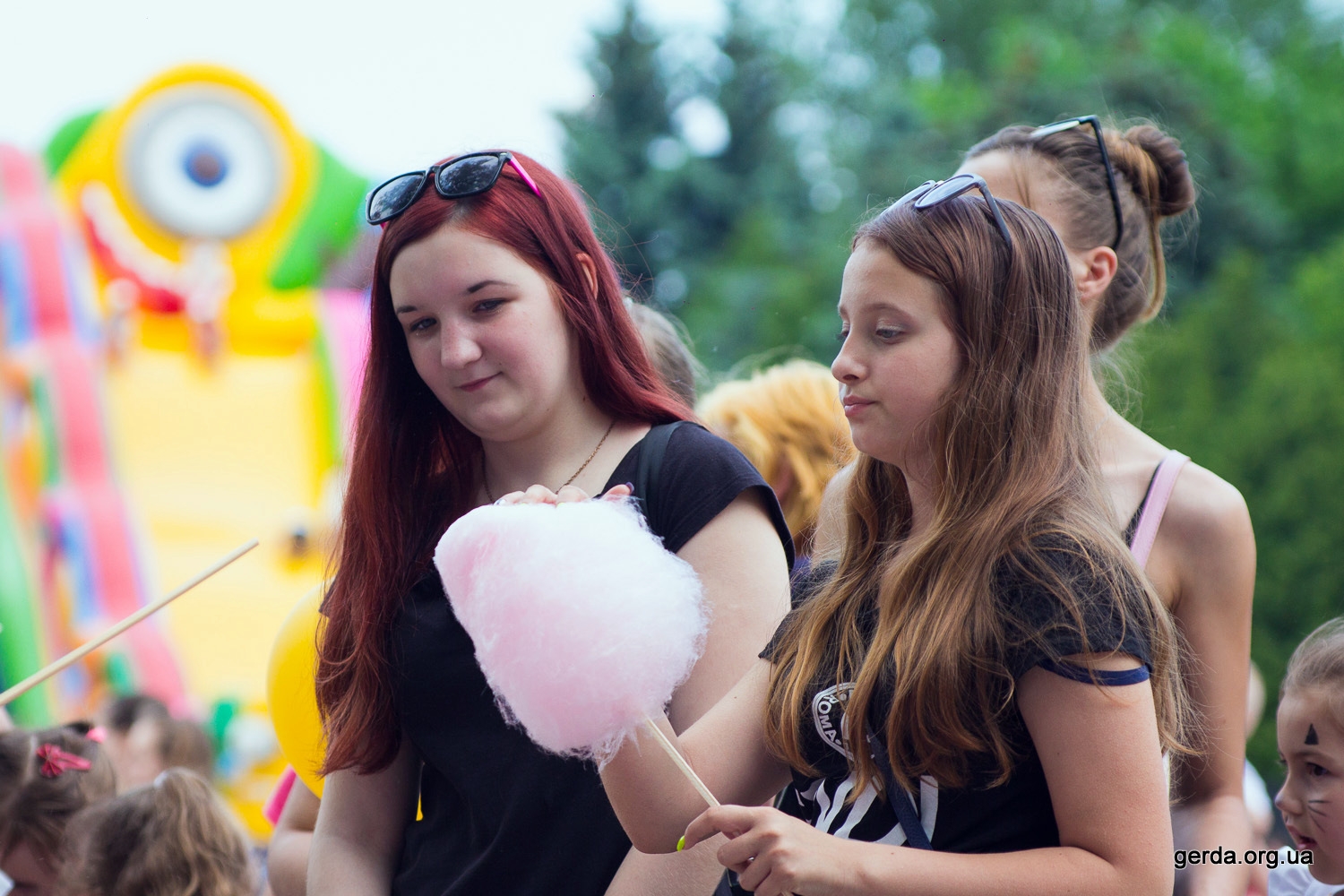 DZD2019-28